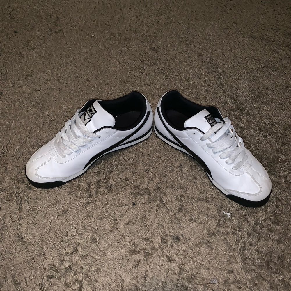 Pumas